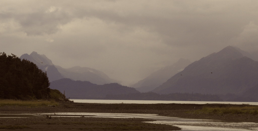 Tidal Zone, Beluga Slough, Homer, AK 